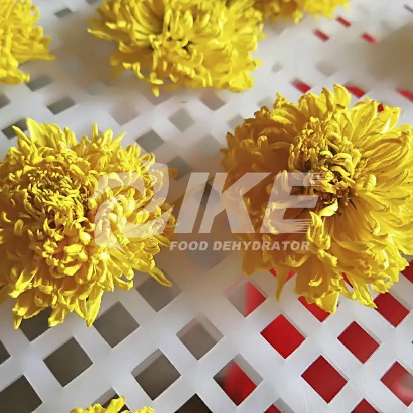 IKE Array image73