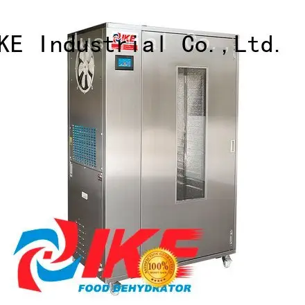 food chinese flower dehydrate in oven IKE 1