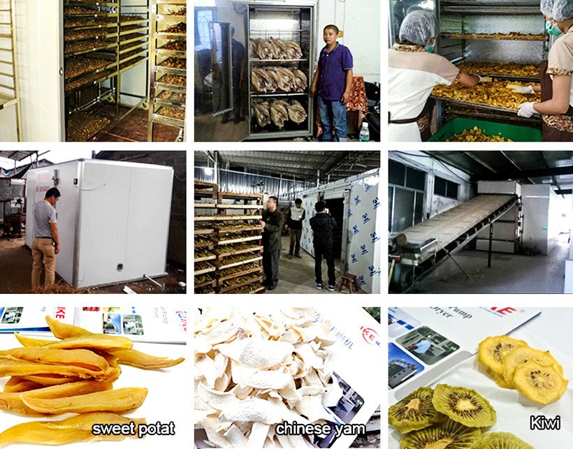 IKE Brand industrial low dehydrator machine dehydrator factory 3