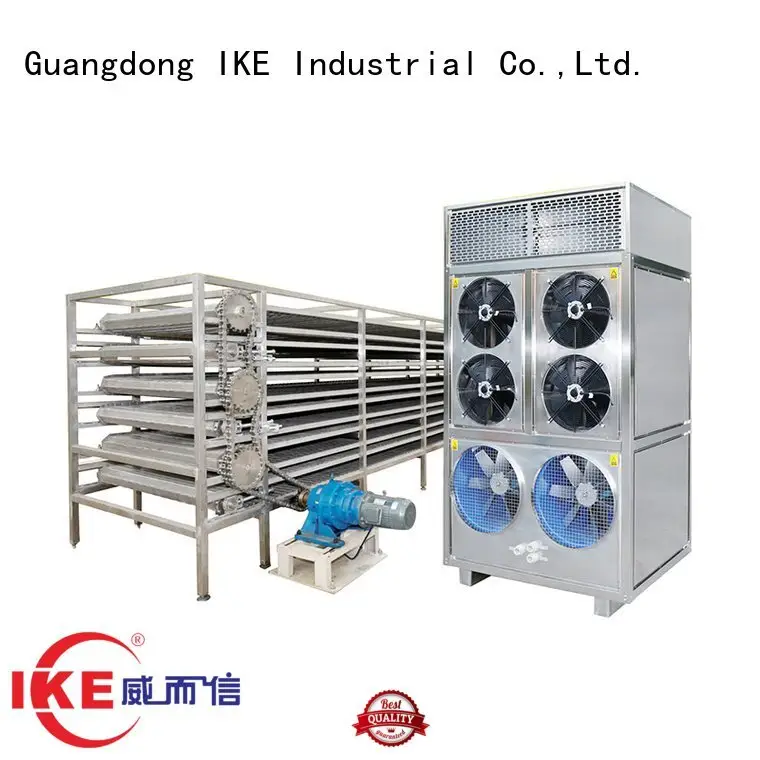 IKE conveyor drying line food dehydrator 1