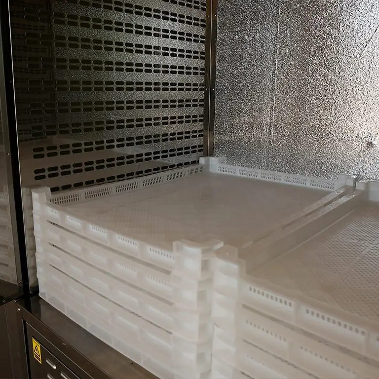 dehydrate in oven chinese commercial food dehydrator IKE Brand 4