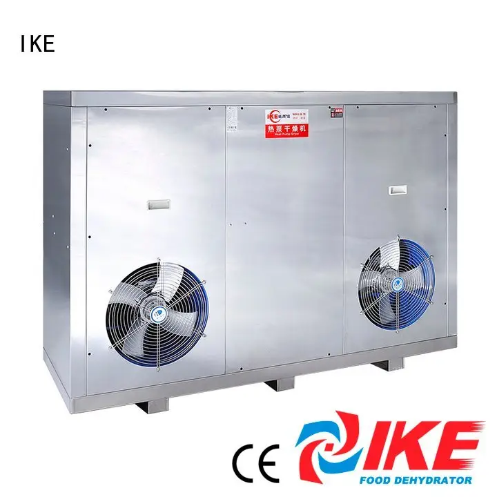 professional food dehydrator industrial middle fruit grade 1