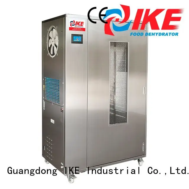 dehydrate in oven tea fruit low dehydrator IKE 1