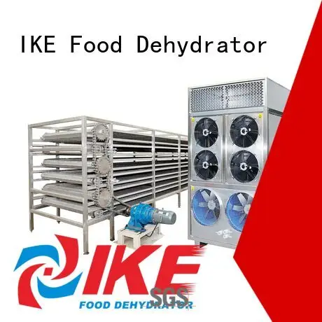 IKE commercial food dryer machine conveyor mesh dehydrator customized 1