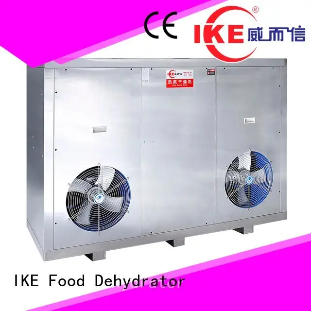 professional food dehydrator machine dryer fruit commercial IKE 1