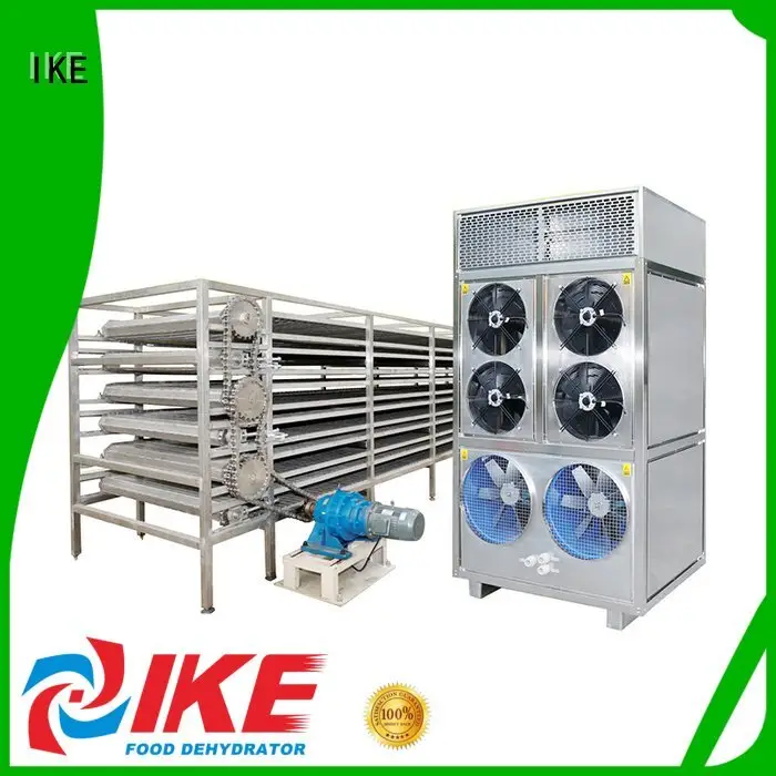 IKE Brand food commercial food dryer machine belt conveyor 1
