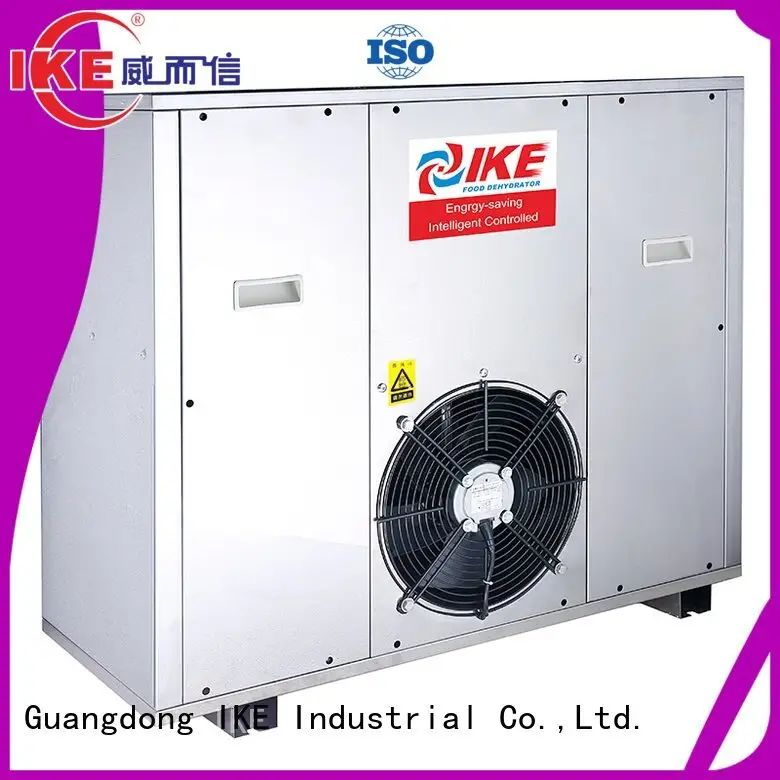 IKE professional food dehydrator drying fruit grade 1