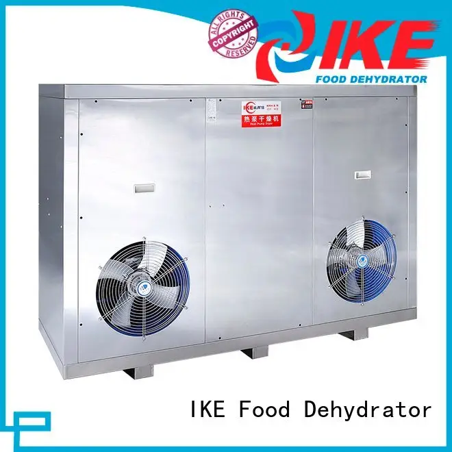 professional food dehydrator middle dehydrator machine IKE 1