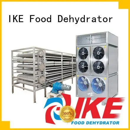 large mesh IKE commercial food dryer machine 1