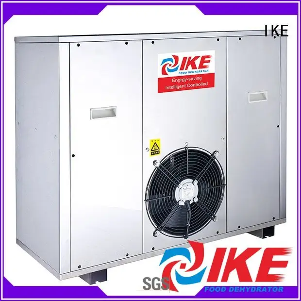 professional food dehydrator fruit commercial sale industrial IKE 1