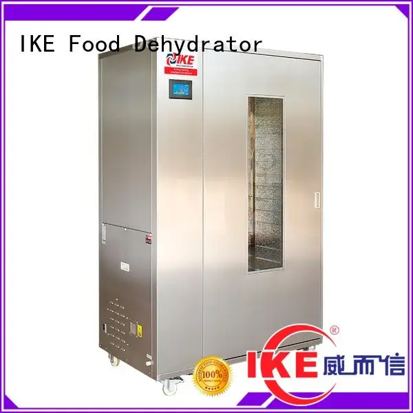 dehydrate in oven dehydrator commercial food dehydrator fruit 1