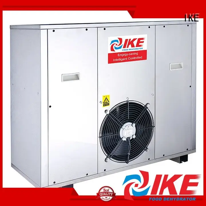 Custom dryer dehydrator machine sale professional food dehydrator 1