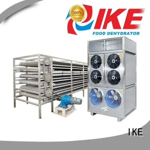 mesh food large IKE Brand drying line supplier 1