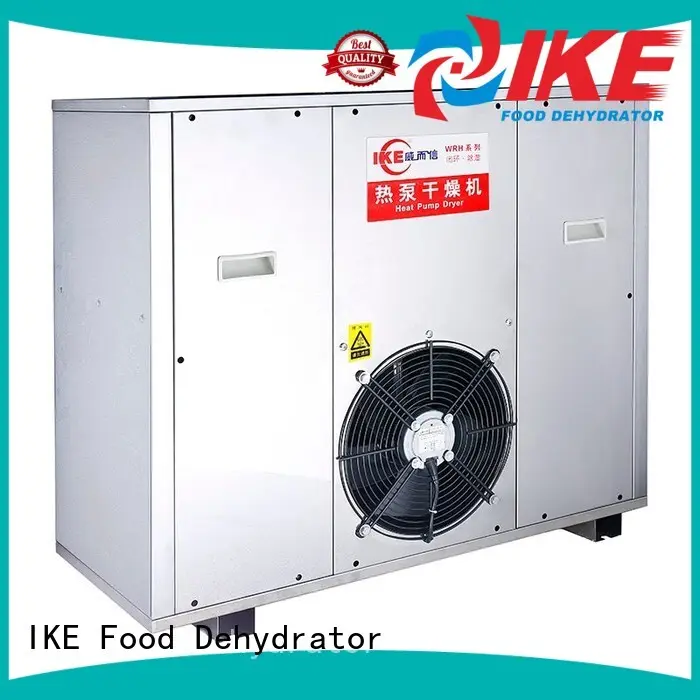 vegetable dehydrator professional food dehydrator low IKE company 1