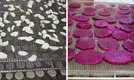 shelf tray round dehydrator trays retaining IKE 4
