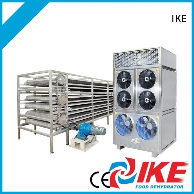 mesh customized commercial food dryer machine food IKE company 1
