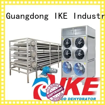 large food IKE Brand commercial food dryer machine factory 1