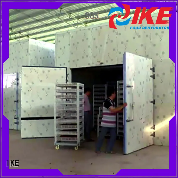 Custom industrial dehydrator machine dehydrator IKE 1