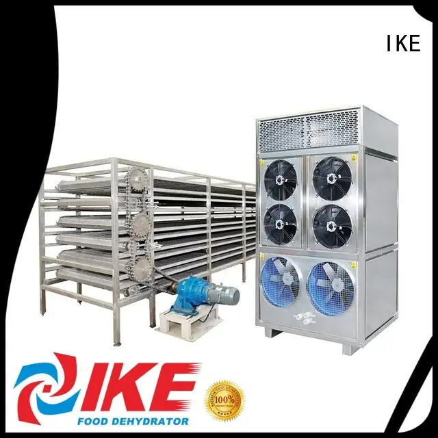 commercial food dryer machine belt conveyor food IKE Brand drying line 1