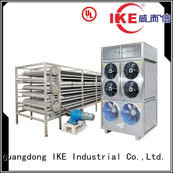 Wholesale mesh commercial food dryer machine IKE Brand 1