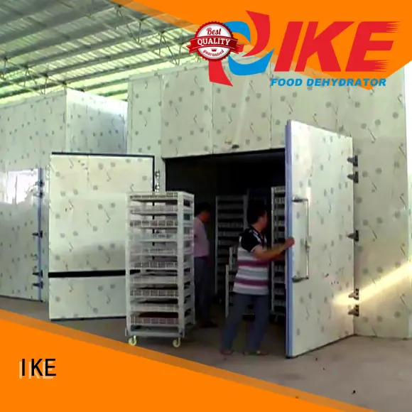 fruit food professional food dehydrator IKE Brand 1