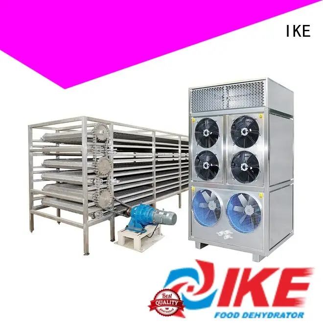 IKE Brand conveyor dehydrator drying line mesh factory 1