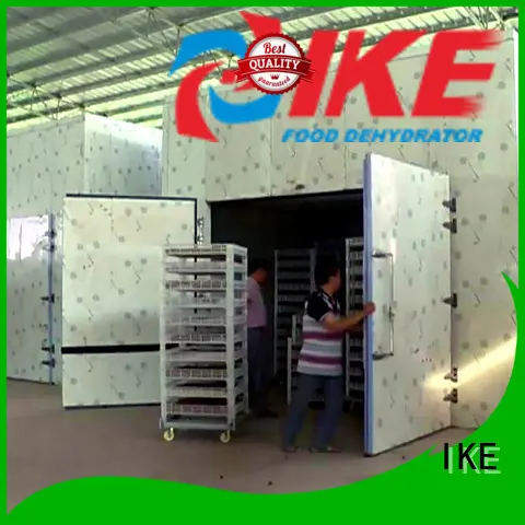professional food dehydrator stainless commercial Bulk Buy low IKE 1