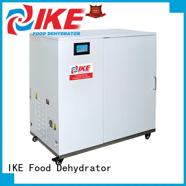 low food commercial food dehydrator steel IKE 1