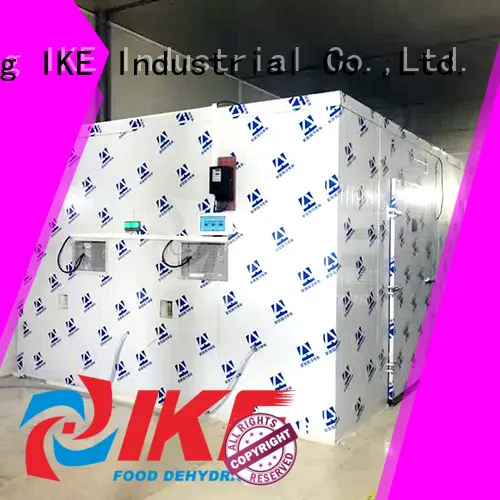 Hot dehydrator machine sale IKE Brand 1
