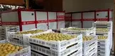 Hot dehydrator machine sale IKE Brand 9