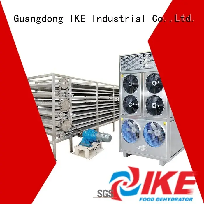 dehydrator customized large IKE Brand drying line 1