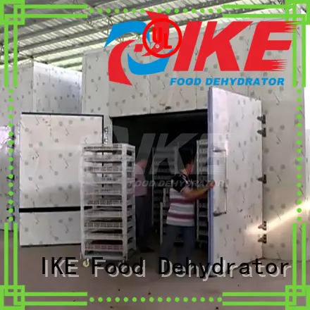 temperature commercial IKE Brand professional food dehydrator factory 1