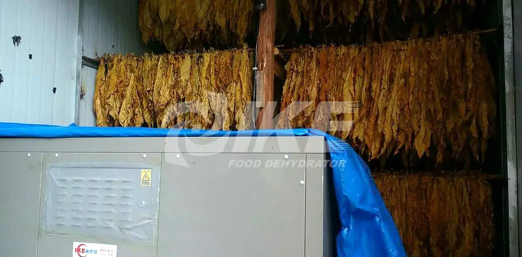 temperature middle dehydrator machine IKE Brand 9