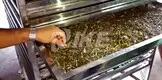 sale dehydrator middle vegetable dehydrator machine IKE 9