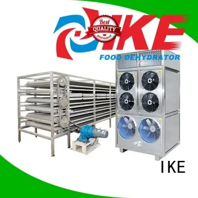 Wholesale conveyor drying line IKE Brand customized
 conveyor 1