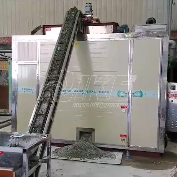 Wholesale conveyor drying line IKE Brand customized
 conveyor 6