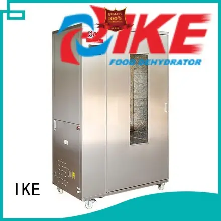 chinese commercial food dehydrator low IKE company 1