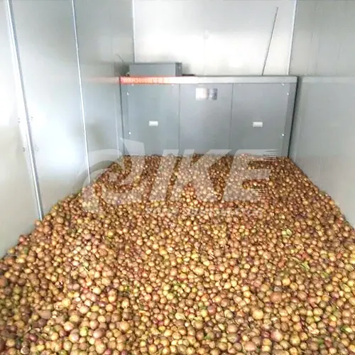 dehydrator vegetable IKE Brand dehydrator machine 10