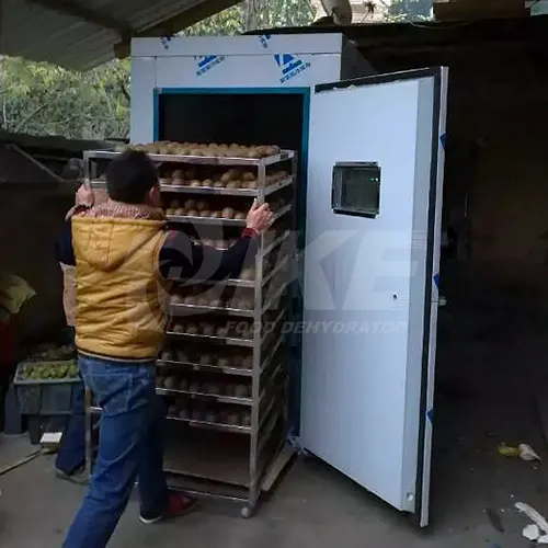steel Custom drying fruit dehydrator machine IKE vegetable 6