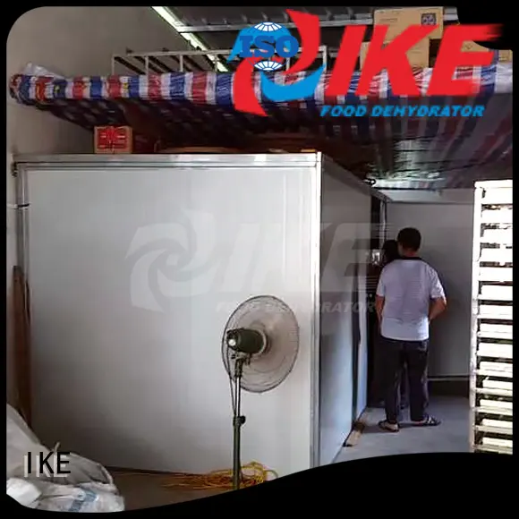 stainless dryer vegetable dehydrator machine grade IKE 1