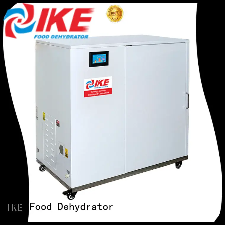dehydrate in oven fruit stainless commercial food dehydrator chinese company 1