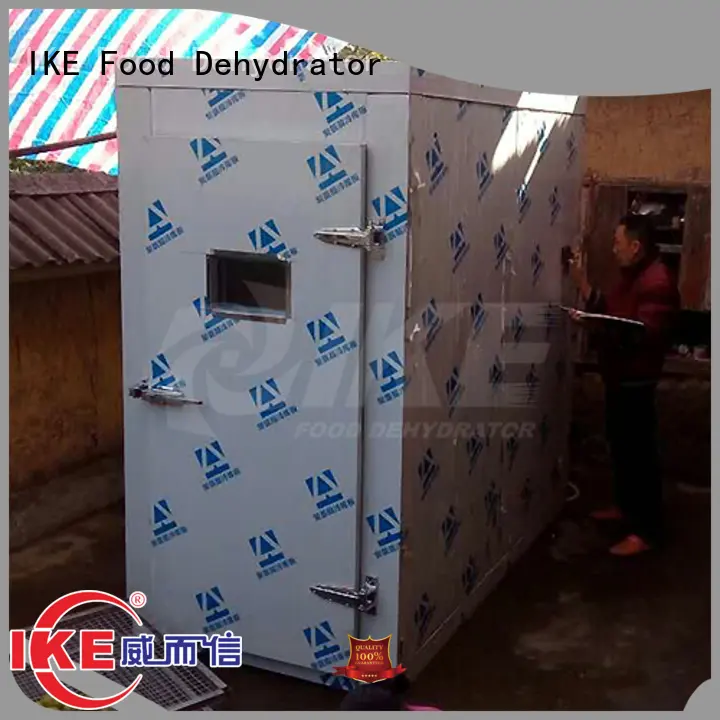 professional food dehydrator food fruit Warranty IKE 1