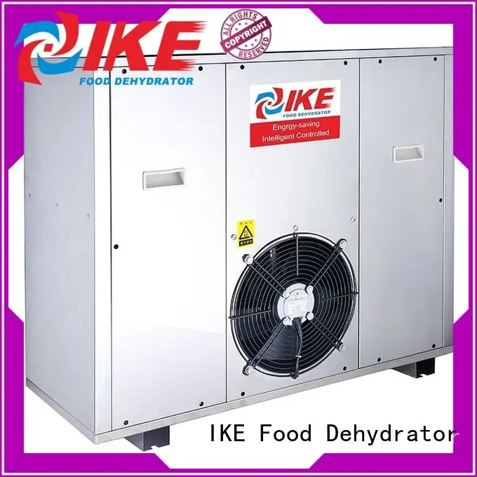 industrial Custom fruit dehydrator machine vegetable IKE 1