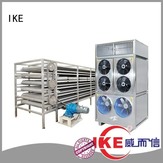 IKE Brand belt customized drying line manufacture 1