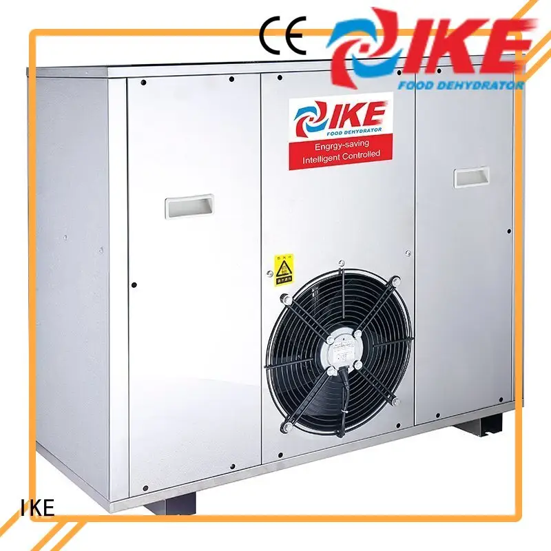 vegetable fruit grade IKE Brand dehydrator machine 1