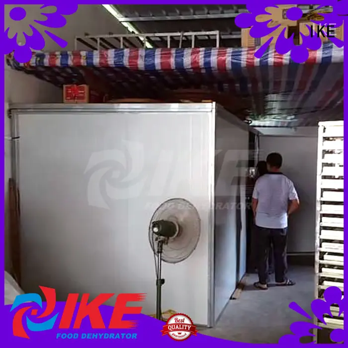 IKE Brand fruit machine dehydrator custom professional food dehydrator 1
