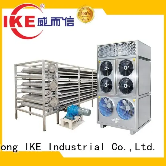commercial food dryer machine dehydrator customized IKE Brand drying line 1