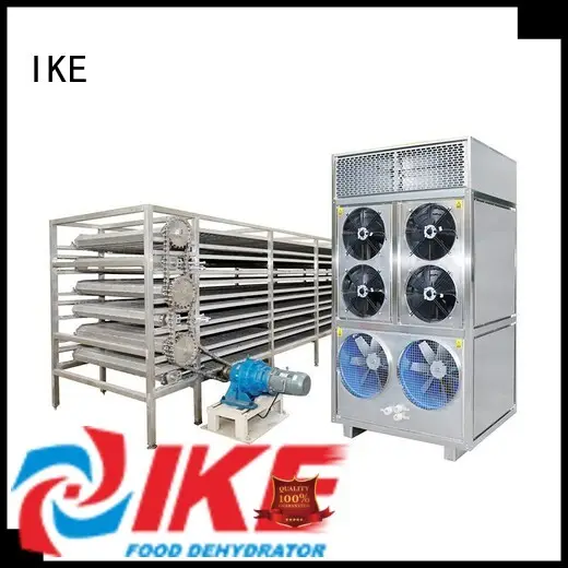 food conveyor drying line large IKE company 1