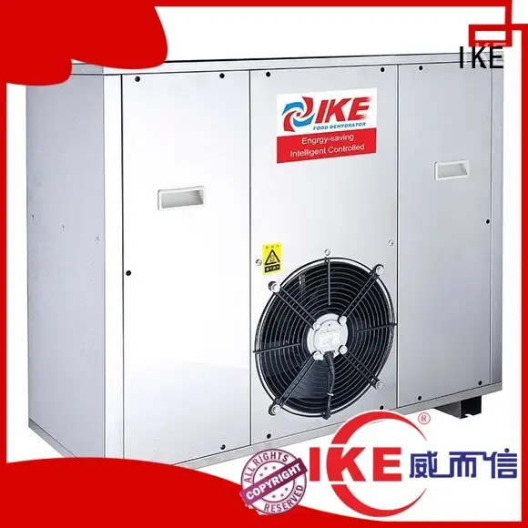 Hot middle professional food dehydrator vegetable IKE Brand 1