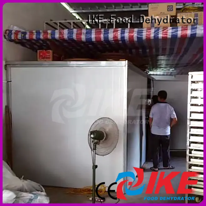 professional food dehydrator temperature middle dehydrator machine IKE Brand 1